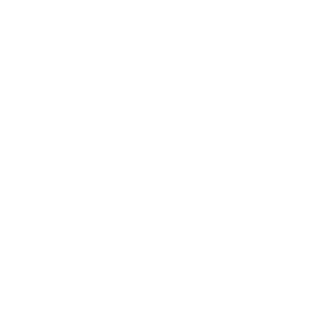 Dell Logo